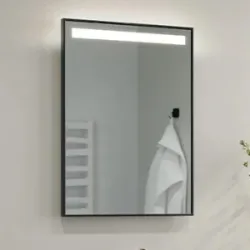 Category image Aluminum framed mirrors
