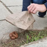 Animo Concept biodegradable paper bag, 20x20 cm, for canine hygiene